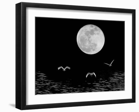 Moon Flight, Delray Beach, Florida ‘10-Monte Nagler-Framed Photographic Print