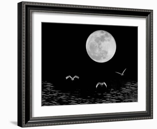 Moon Flight, Delray Beach, Florida ‘10-Monte Nagler-Framed Photographic Print