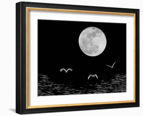 Moon Flight, Delray Beach, Florida ‘10-Monte Nagler-Framed Photographic Print