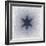 Moon Flower 2, 2002-Evelyn Williams-Framed Giclee Print