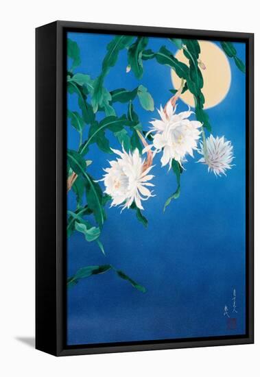 Moon Flower-Haruyo Morita-Framed Stretched Canvas