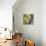 Moon Flowers II-James Burghardt-Premium Giclee Print displayed on a wall