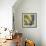 Moon Flowers II-James Burghardt-Framed Premium Giclee Print displayed on a wall