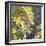 Moon Flowers II-James Burghardt-Framed Premium Giclee Print
