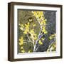 Moon Flowers II-James Burghardt-Framed Art Print