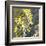 Moon Flowers II-James Burghardt-Framed Art Print