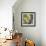 Moon Flowers II-James Burghardt-Framed Art Print displayed on a wall