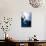 Moon Jellyfish (Aurelia Aurita).-Stephen Frink-Photographic Print displayed on a wall