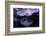 Moon Jellyfish, Aurelia Aurita-steffstarr-Framed Photographic Print