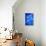 Moon Jellyfish-Richard T. Nowitz-Photographic Print displayed on a wall