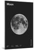 Moon : Minimal System Solar Datas, 2023 (Digital)-Florent Bodart-Mounted Giclee Print