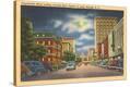 Stretched Canvas Print