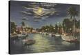 Stretched Canvas Print