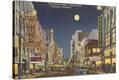 Stretched Canvas Print