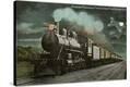 Stretched Canvas Print