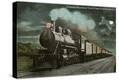 Stretched Canvas Print