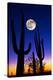 Stretched Canvas Print