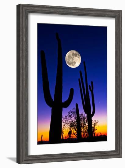 Moon over Saguaro Cactus (Carnegiea Gigantea), Tucson, Pima County, Arizona, USA-null-Framed Photographic Print