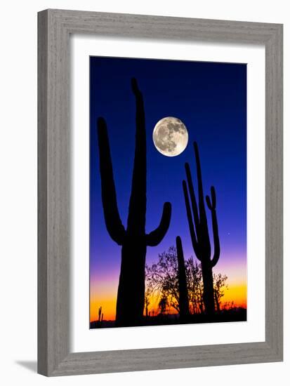 Moon over Saguaro Cactus (Carnegiea Gigantea), Tucson, Pima County, Arizona, USA-null-Framed Photographic Print