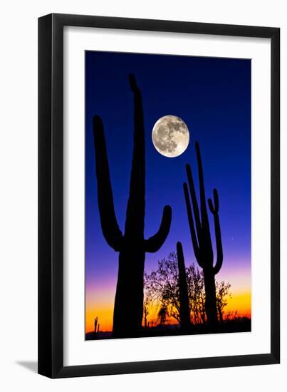 Moon over Saguaro Cactus (Carnegiea Gigantea), Tucson, Pima County, Arizona, USA--Framed Photographic Print