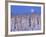 Moon Over Snow-Covered Trees-Cindy Kassab-Framed Photographic Print