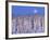 Moon Over Snow-Covered Trees-Cindy Kassab-Framed Photographic Print