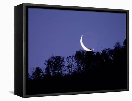 Moon Over the Forest-null-Framed Premier Image Canvas