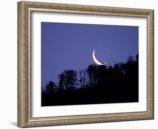 Moon Over the Forest-null-Framed Photographic Print