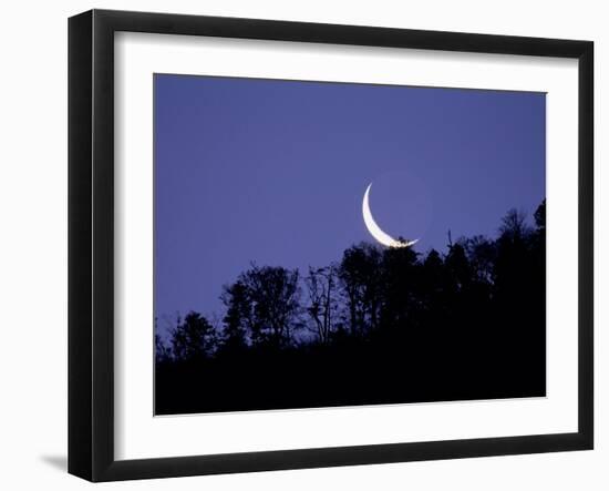 Moon Over the Forest-null-Framed Photographic Print