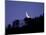 Moon Over the Forest-null-Mounted Photographic Print
