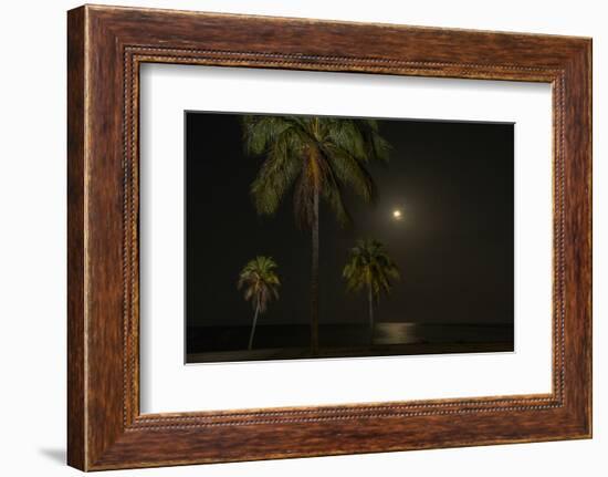 Moon over the Horizon Off the Isle of Youth, Cuba. Coconut Palms Illuminated in the Foreground-James White-Framed Photographic Print