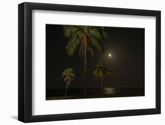 Moon over the Horizon Off the Isle of Youth, Cuba. Coconut Palms Illuminated in the Foreground-James White-Framed Photographic Print