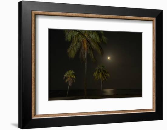 Moon over the Horizon Off the Isle of Youth, Cuba. Coconut Palms Illuminated in the Foreground-James White-Framed Photographic Print