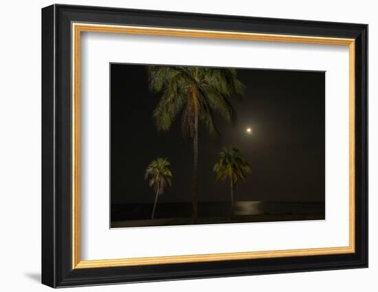 Moon over the Horizon Off the Isle of Youth, Cuba. Coconut Palms Illuminated in the Foreground-James White-Framed Photographic Print
