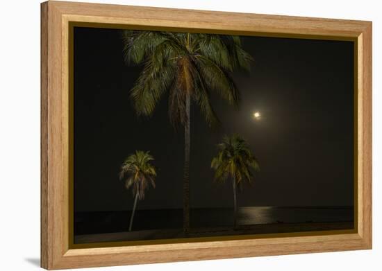 Moon over the Horizon Off the Isle of Youth, Cuba. Coconut Palms Illuminated in the Foreground-James White-Framed Premier Image Canvas