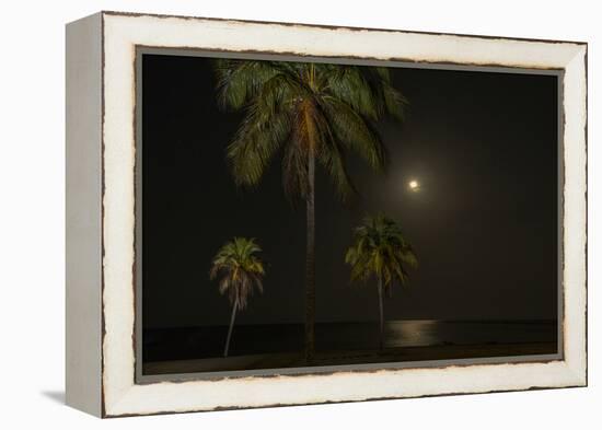 Moon over the Horizon Off the Isle of Youth, Cuba. Coconut Palms Illuminated in the Foreground-James White-Framed Premier Image Canvas