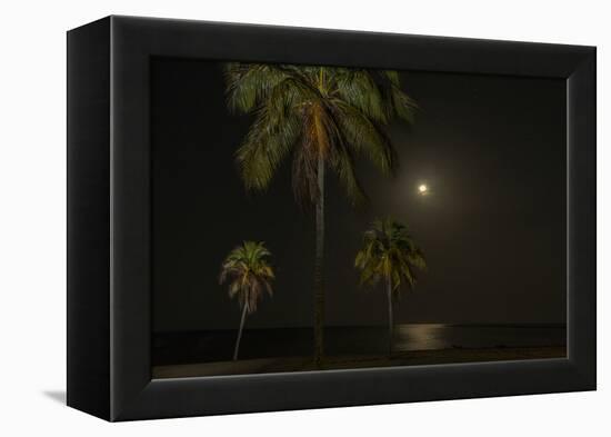 Moon over the Horizon Off the Isle of Youth, Cuba. Coconut Palms Illuminated in the Foreground-James White-Framed Premier Image Canvas