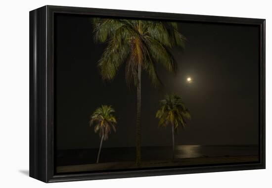 Moon over the Horizon Off the Isle of Youth, Cuba. Coconut Palms Illuminated in the Foreground-James White-Framed Premier Image Canvas