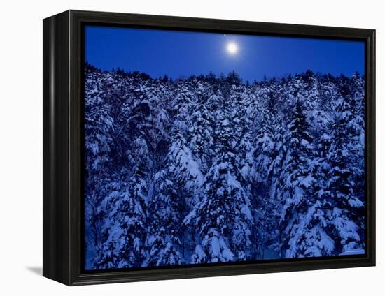 Moon Over the Winter Forest-null-Framed Premier Image Canvas