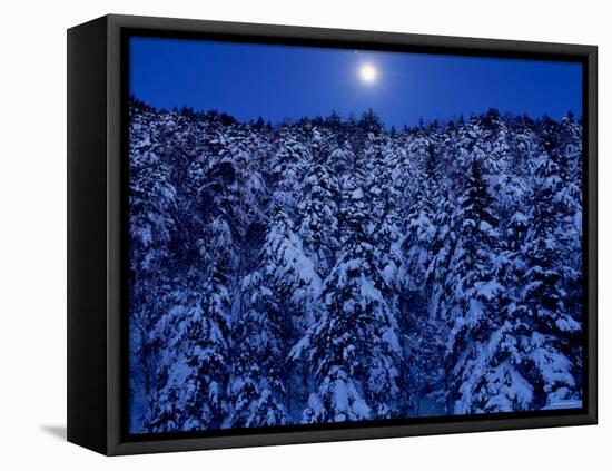 Moon Over the Winter Forest-null-Framed Premier Image Canvas
