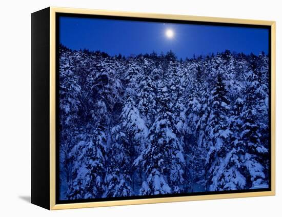 Moon Over the Winter Forest-null-Framed Premier Image Canvas