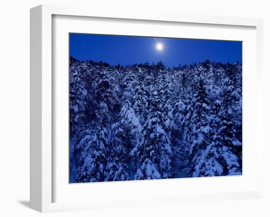 Moon Over the Winter Forest-null-Framed Photographic Print