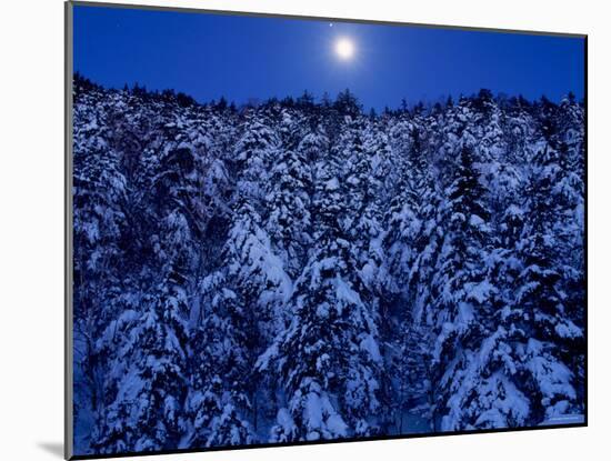 Moon Over the Winter Forest-null-Mounted Photographic Print