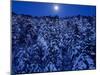 Moon Over the Winter Forest-null-Mounted Photographic Print