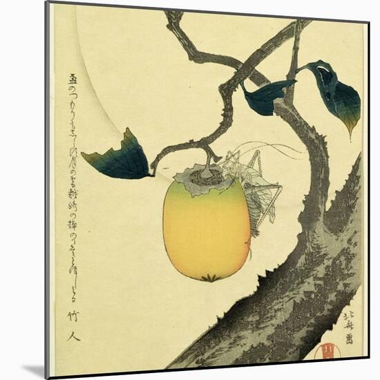 Moon, Persimmon and Grasshopper, 1807-Katsushika Hokusai-Mounted Giclee Print