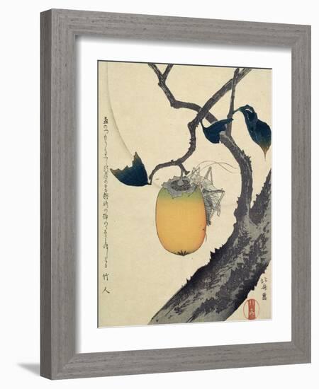 Moon, Persimmon and Grasshopper, 1807-Katsushika Hokusai-Framed Giclee Print