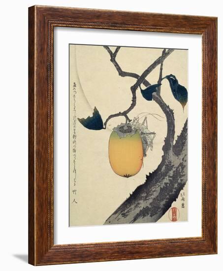 Moon, Persimmon and Grasshopper, 1807-Katsushika Hokusai-Framed Giclee Print