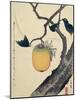 Moon, Persimmon and Grasshopper, 1807-Katsushika Hokusai-Mounted Giclee Print