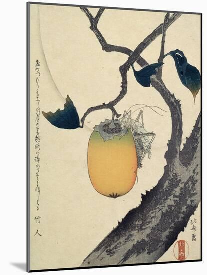 Moon, Persimmon and Grasshopper, 1807-Katsushika Hokusai-Mounted Giclee Print