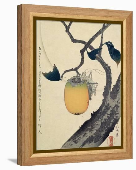 Moon, Persimmon and Grasshopper, 1807-Katsushika Hokusai-Framed Premier Image Canvas